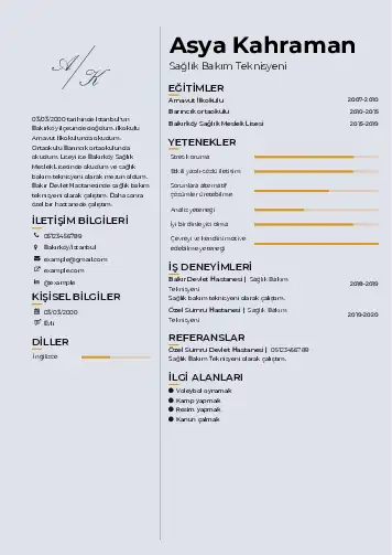 Tekniker ve Teknisyen Cv Örnekleri cv indir